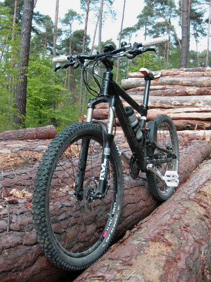 wood