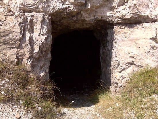 IMG00522