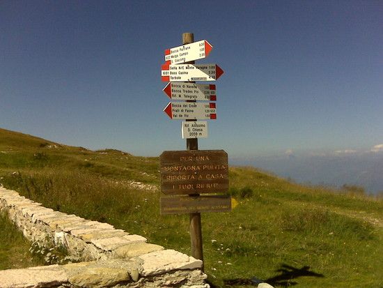 IMG00530
