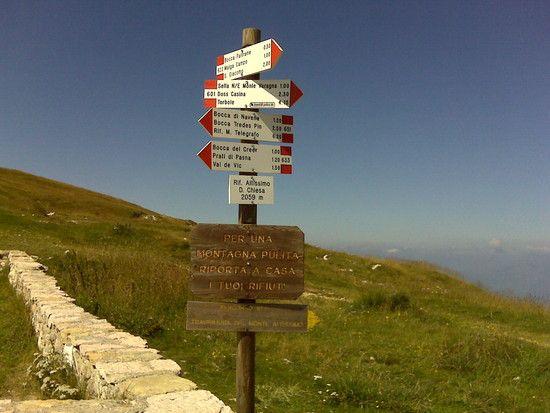 IMG00531