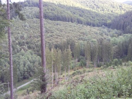 TranzHarznatur