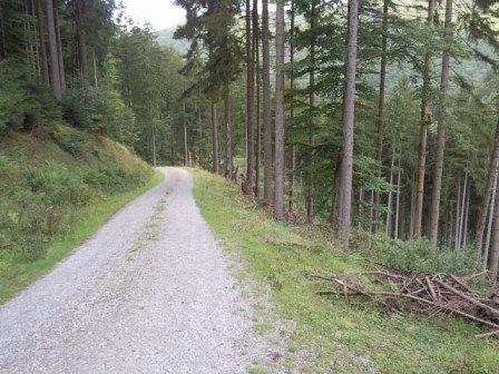 TranzHarznatur2