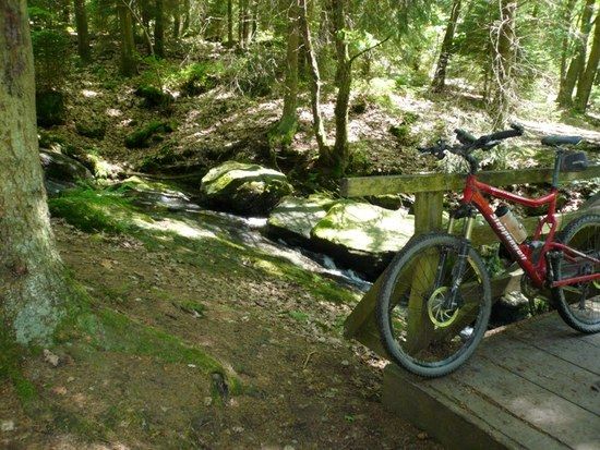 2008.06.0111.47.08MTBVenn 1217918012