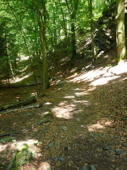 2008.06.0112.43.39MTBVenn 1217918021