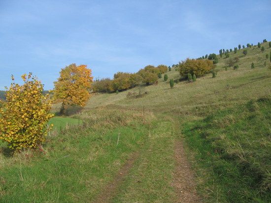 2008.10.1115.52.33