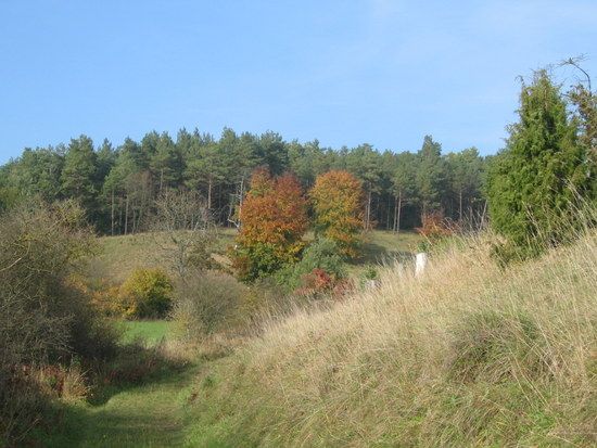 2008.10.1115.56.58