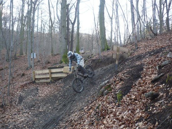 8.2 in thale