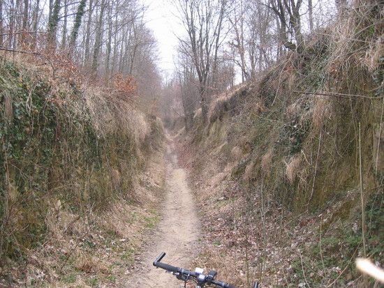 Durch diese hohle Gasse...