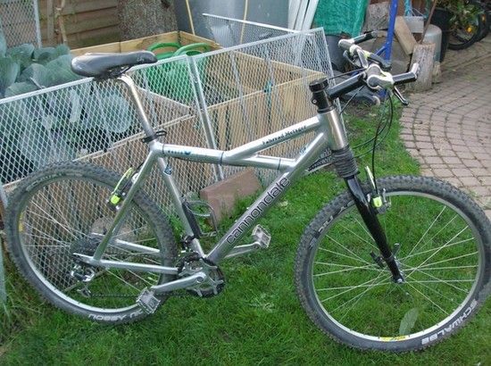 MTB-CD-1