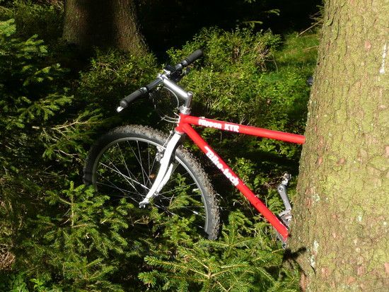 Nippon im Unterholz
