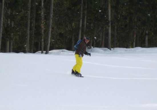 Fakie-Gott