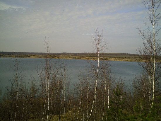 PIC00122