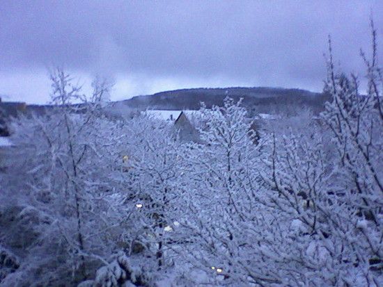 Foto0011.jpg