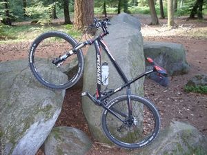 Dammer Berge 07