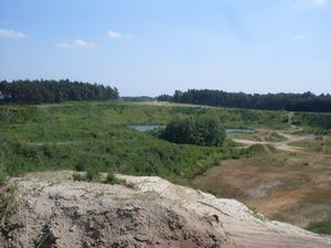 Dammer Berge 26