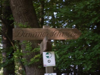 Dammer Berge 28