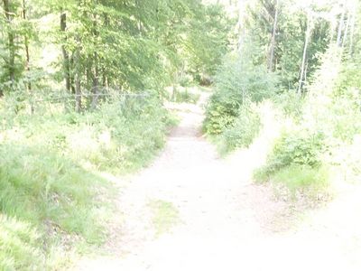Dammer Berge 29