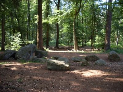 Dammer Berge 18