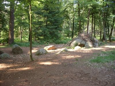 Dammer Berge 17