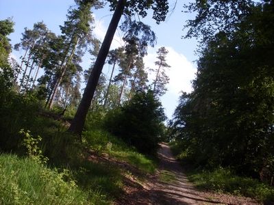 Dammer Berge 20