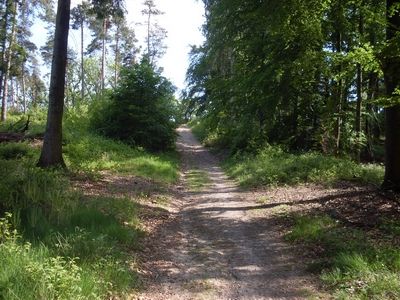 Dammer Berge 21