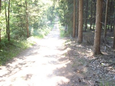 Dammer Berge 24