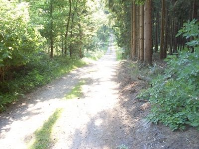 Dammer Berge 25