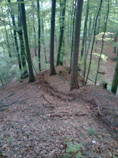 Bild0044