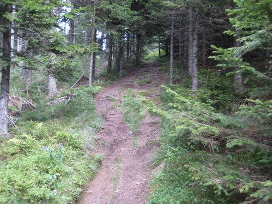 Mugltrail