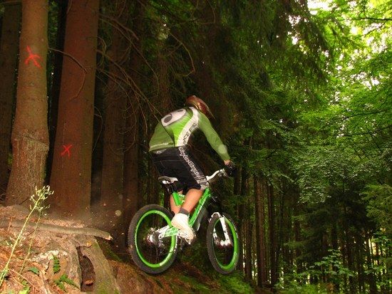 im Erzgebirge
