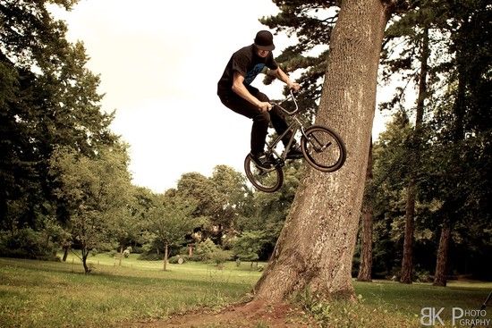 Treeride
