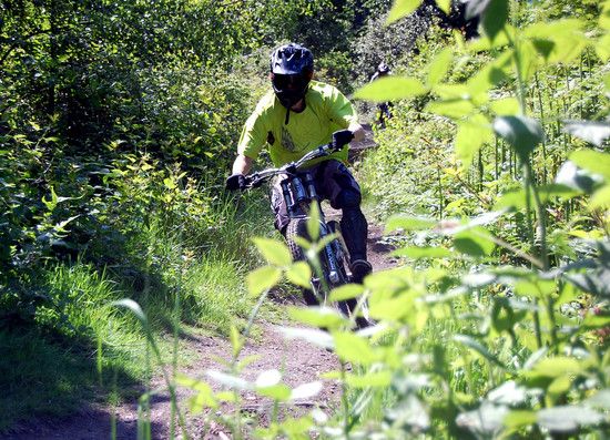 hometrail1
