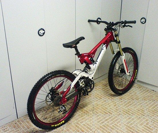 EX-Bergamont Team DH 07