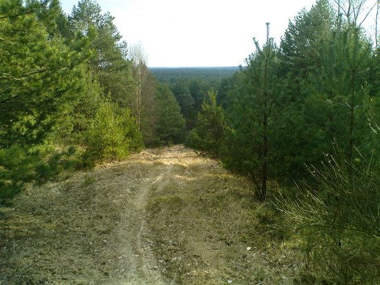 DSC00020