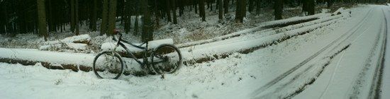 DSC02410
