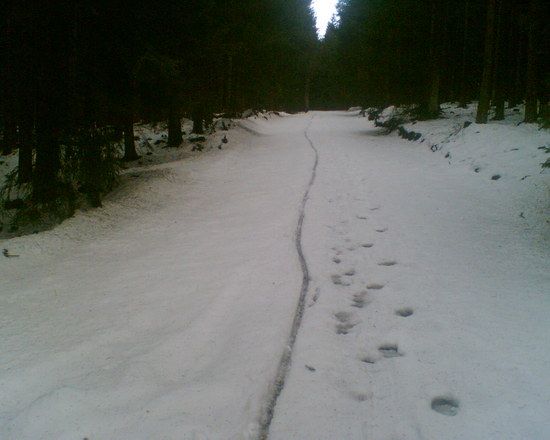 Schneebiker