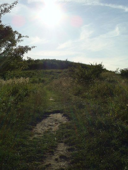 Bakenberg