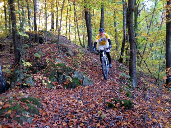 Herbstrail14