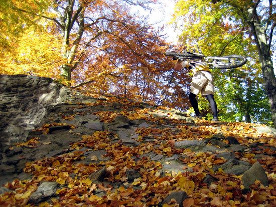 Herbstrail6