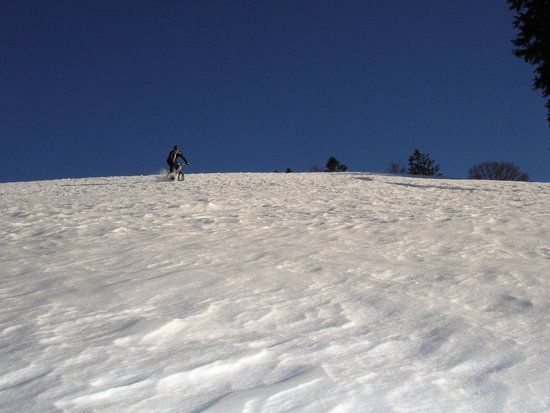 DSC04678 1198964752