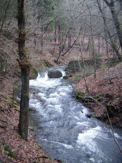 203 eschbach