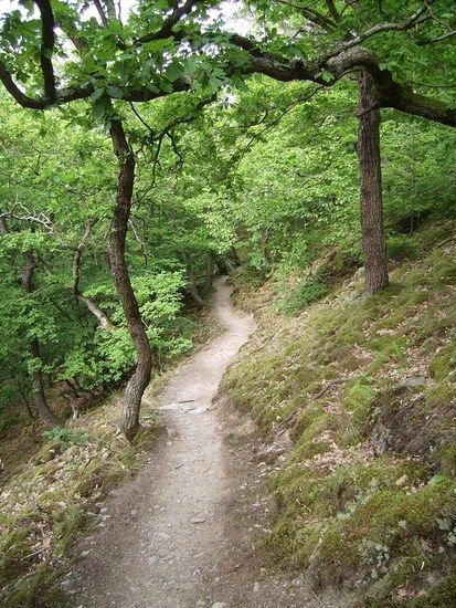 Rheinsteig: Trail zwischen St. Goarshausen und Kestert