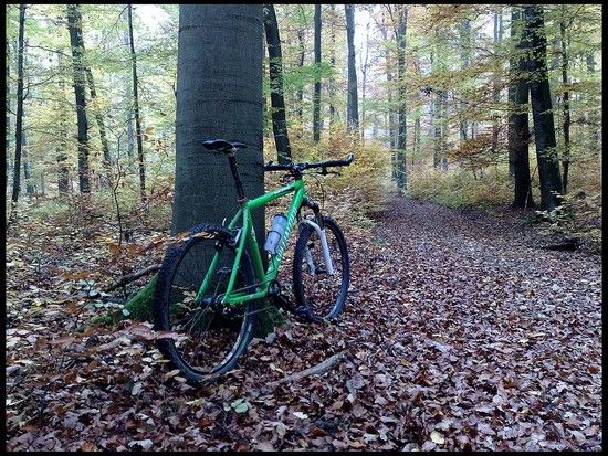 Laub-Hopper