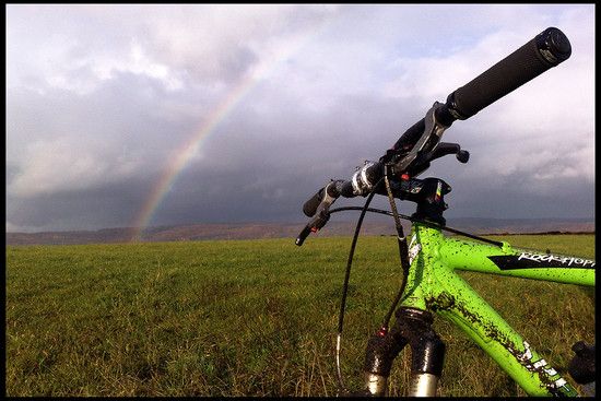 Regenbogen
