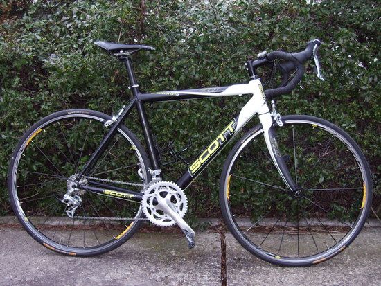 Scott2