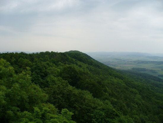 Nordblick vom Krüllbrinkturm im Ith