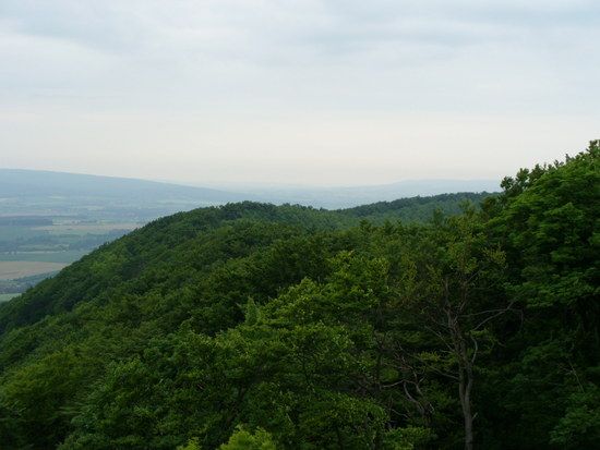 Südblick vom Krüllbrinkturm im Ith