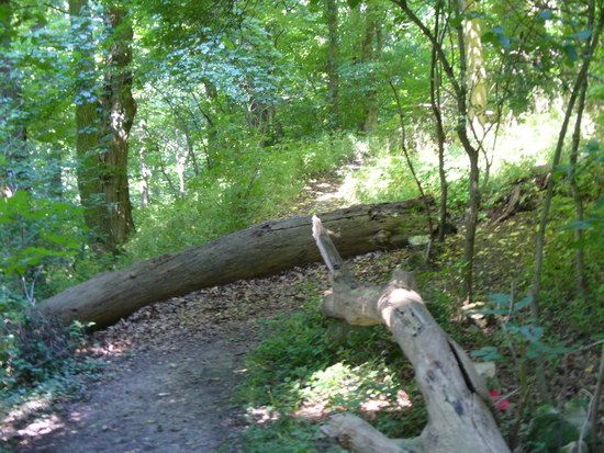 und SZ-Lichtenberg