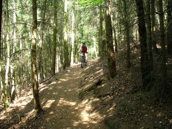 Singeltrail