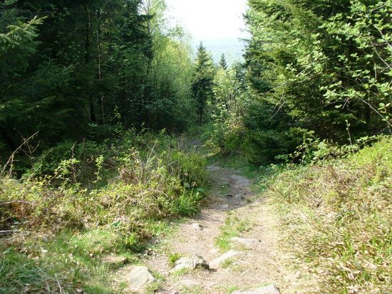 P1100094